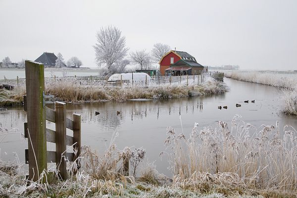 Oudega, polderlandschap, winter