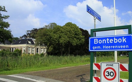 Bontebok